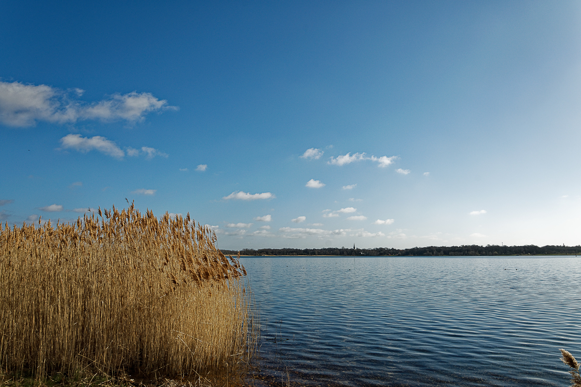 Cospudener See Familie Stein